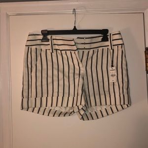 NWT Express Midi Shorts